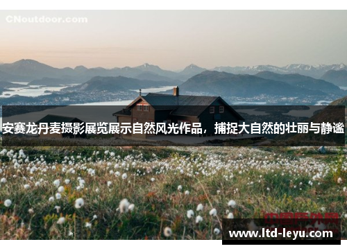 安赛龙丹麦摄影展览展示自然风光作品，捕捉大自然的壮丽与静谧