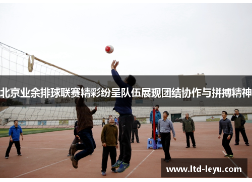 北京业余排球联赛精彩纷呈队伍展现团结协作与拼搏精神