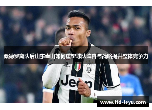 桑德罗离队后山东泰山如何重塑球队阵容与战略提升整体竞争力