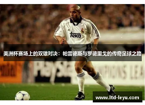 美洲杯赛场上的双雄对决：帕雷德斯与罗德里戈的传奇足球之路