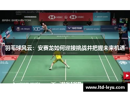 羽毛球风云：安赛龙如何迎接挑战并把握未来机遇