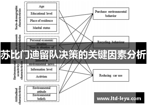 苏比门迪留队决策的关键因素分析