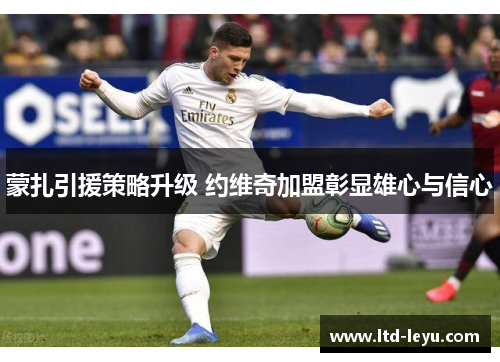 蒙扎引援策略升级 约维奇加盟彰显雄心与信心