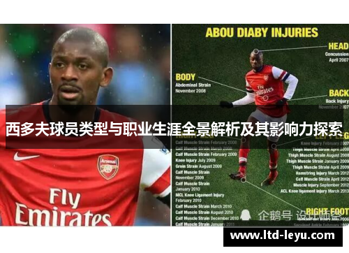 西多夫球员类型与职业生涯全景解析及其影响力探索