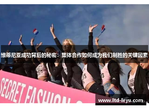 维蒂尼亚成功背后的秘密：集体合作如何成为我们制胜的关键因素