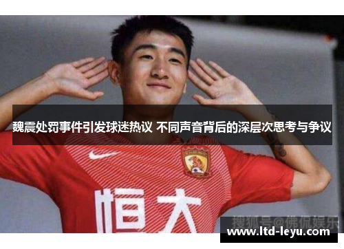 魏震处罚事件引发球迷热议 不同声音背后的深层次思考与争议